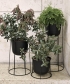 Wire Planter Base podstawa donicy | Menu | Design Spichlerz 