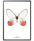 New Collection (S13) | Hagedornhagen Copenhagen